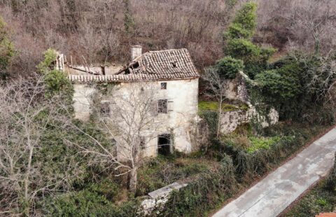 Reduzierter preis!! Istrisches Steinhaus mit zusätzlichem Gebäude und Bauland