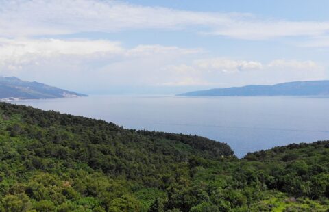 Poljoprivredno zemljište Ravni – Drenje 5.300 m2