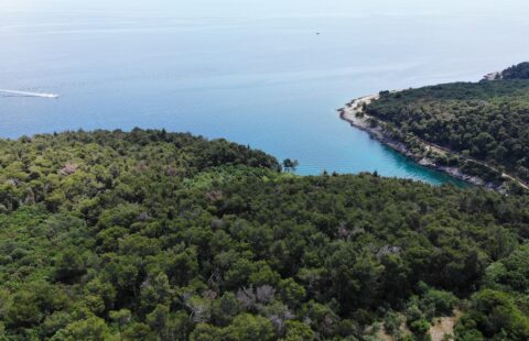 UNIQUE agricultural land only 200 m away from the sea Ravni – Drenje